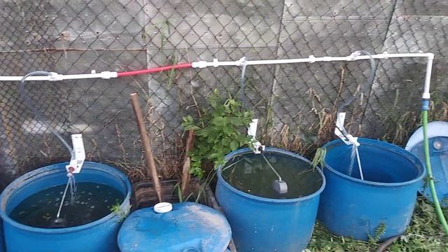 Система автоматического прекращения подачи воды в бак(и) при его наполнении смотреть онлайн