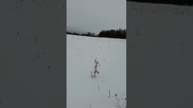 Приключение стоматолога где то в рязанской области смотреть онлайн