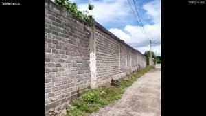 Мощное (7,6) землетрясение в Мексике сегодня