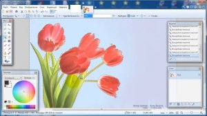 Paint.net. Урок 12. Методы отделения объекта от фона