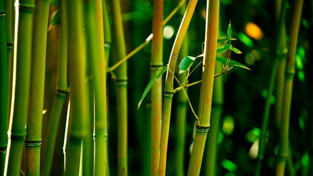 Matra Ram - corresponds to the vibrations of the third chakra / Матра Рам - вибрация третьей чакры смотреть онлайн