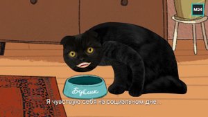 А где моя надбавка?! | Кот Бублик