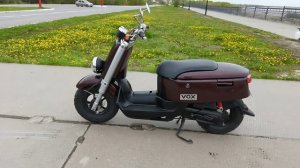 Yamaha VOX