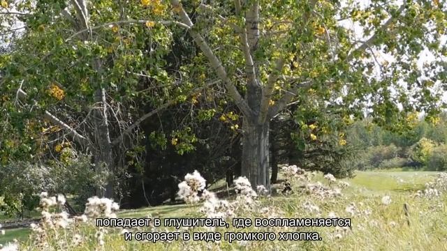 Что стреляет в глушитель - причины хлопков из выхлопной трубы