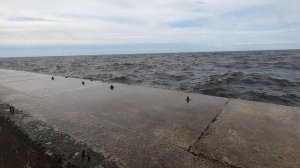 Дорога в Балтийское море(Рижский залив) - Road into Baltic Sea in a small storm (Gulf Of Riga)