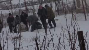 Жердевский р-н.С.Туголуково.Лошадки уходят под землю.