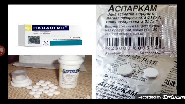 Panangin vs Asparkam смотреть онлайн