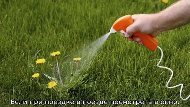 Что сделать чтобы не росла трава смотреть онлайн