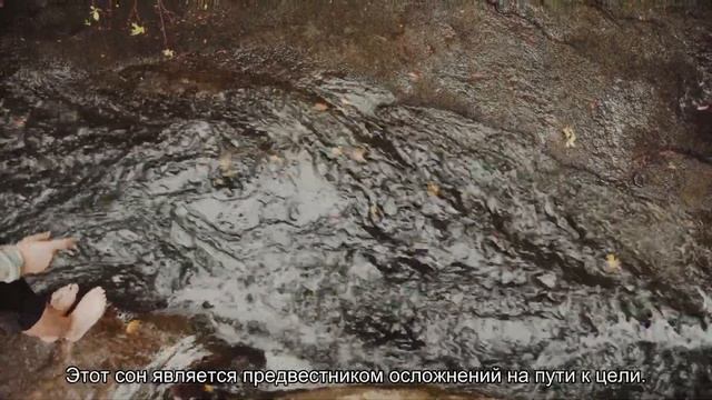 К чему снится сломанная нога? Толкование сна и его значение по сонникам Фрейда и Миллера