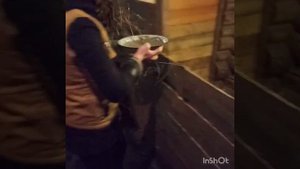 Фермерские телята растут и об этом  поподробнее...