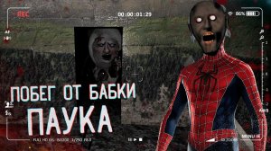 БАБКА ПАУК