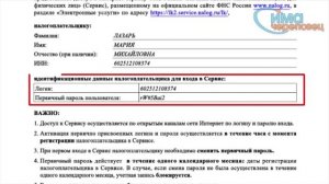 Госуслуги: сдача налоговой декларации