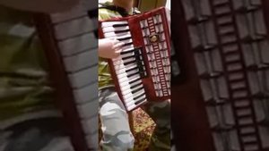 Учу играть на аккордеоне, сыграет каждый. Основы аккордеона за 5 минут!!!