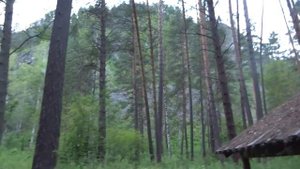 Горный Алтай Барангол Царская Охота Камышлинский водопад