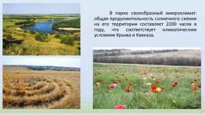 Видеопрезентация «Природный парк "Донской"» из цикла «Семь прогулок по паркам Волгоградской области