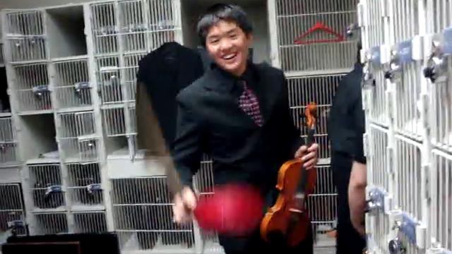 Zefr the Chinese Jew смотреть онлайн