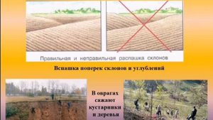 Биология. Тема урока: "Охрана почвы"