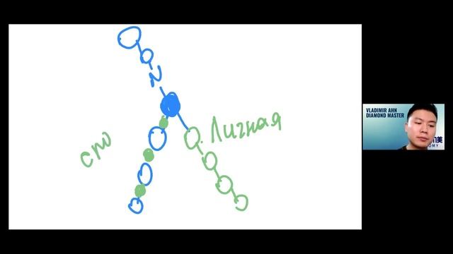 Эффективная структура в Атоми. "Правильное" Постороение. Маркетинг план. Владимир Ан смотреть онлайн