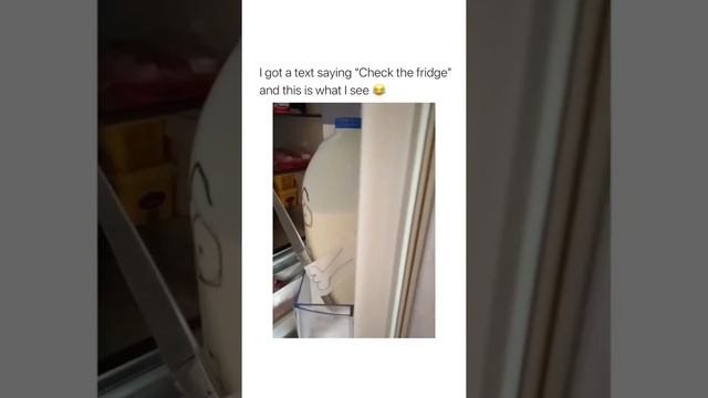 Don't Open The Fridge