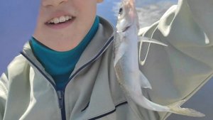 Рыбалка на реке Гжать