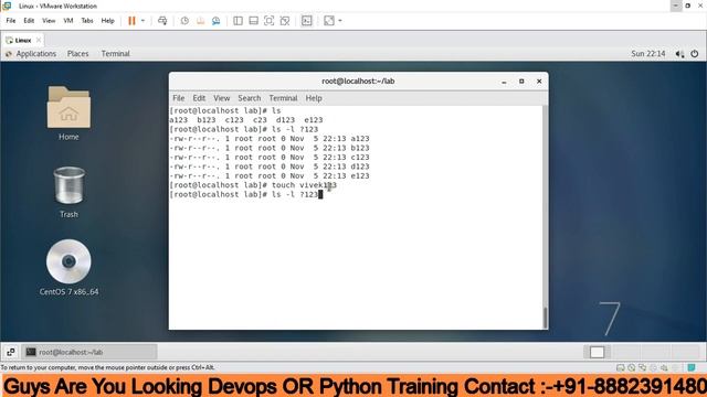 WHAT ARE WILDCARDS IN LINUX AND HOW TO USE IN REALTIME #devopsbustechnology #hindi #devopsengineer