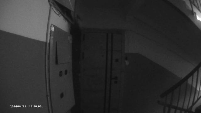 MOVA0005 смотреть онлайн