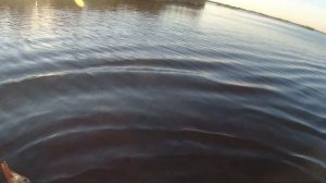 Охота в Калмыкии