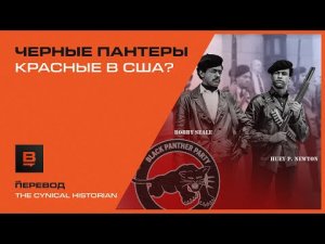 История партии "Чёрные пантеры" | Вектор.Translate №10(17)