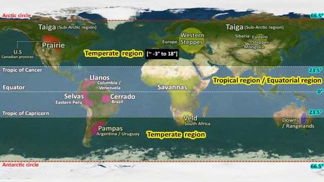 What are Grassland | Types - Temperate & Tropical | Location, Characteristics, Climate | Geography смотреть онлайн