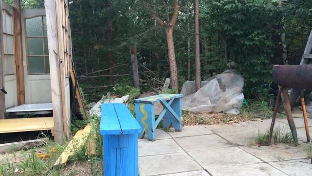 Утро на даче. Природа это круто. Приятный гость. смотреть онлайн