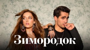Зимородок 48 серия