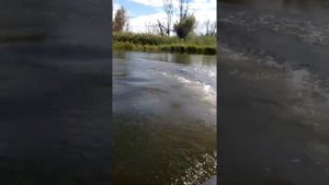 Сиа про 2.6 и аква 2800
