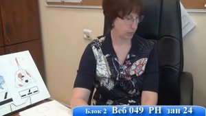 Веб 49 Вопросы по работе с неговорящими