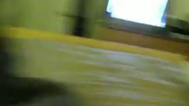 Pitbull and Doberman play смотреть онлайн