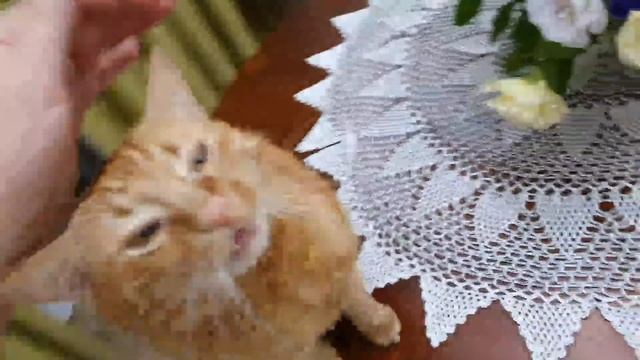 Гости сделали подарок смотреть онлайн