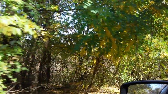 Нарды и резаные пальцы. Два практических совета. смотреть онлайн