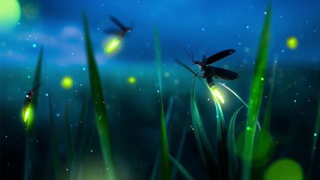 Avkopplande Musik Lugn Avslappning Musik Avkopplande Lugn Musik #3 смотреть онлайн