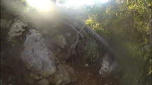 Анишина башня