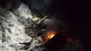 ВЫЖИВУ БЕЗ ПАЛАТКИ -20 ОДИН В ЛЕСУ #выживание #поход #зима