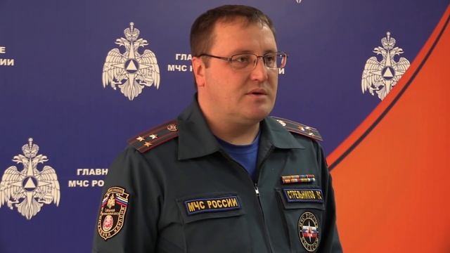 Заместитель начальника главного управления мчс