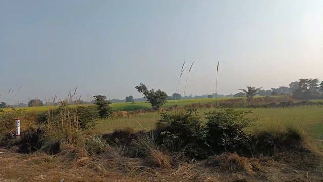 #10 Индия. Агра -Джайпур. Дорога в Джайпур на поезде и заселение в отель. Индийские поезда и отели смотреть онлайн