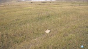 ЗАБРОСКА НА ПОИСКИ ИССЛЕДОВАТЕЛЬСКОЙ БАЗЫ В ЛЕСУ #1