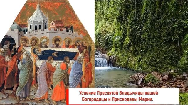 Евангелие дня с толкованием  28 августа Успение Богородицы   2022 года