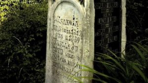 Wilhelm Friedemann Bach-Flute Sonata in E minor-Barthold Kuijken