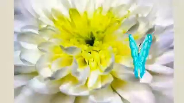 Стихи о любви/ Красивые стихи/? смотреть онлайн