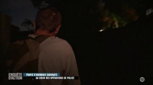 Enquete d'Action - Trafic d'animaux : au coeur des operations de police 1-2 W9 2018