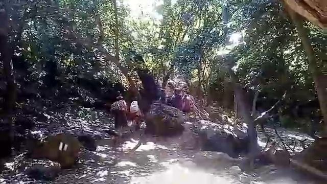 1. Путешествие по Северу Израиля. Заповедник Нахаль-Амуд. смотреть онлайн