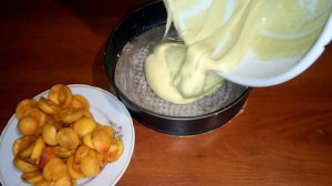 Пирог с абрикосами. Простой пирог Мягкий и нежный Шарлотка с абрикосами