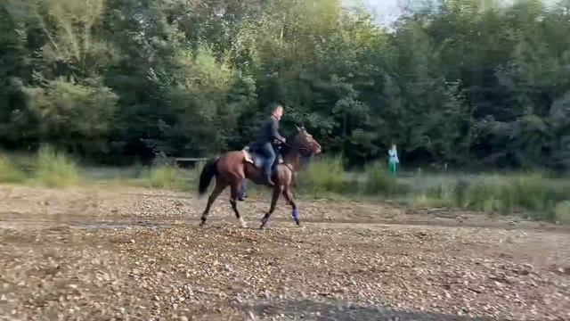 Ша1ми-Юртар Исмаилов Висхан волч хьошалг1ахь. НОХЧИЙН БЕРЕ (ВСАДНИКИ ЧЕЧНИ) Балалайка. Нохчо ву со. смотреть онлайн