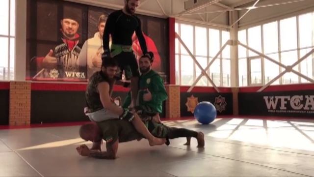 Кадыров и Емельяненко смотреть онлайн